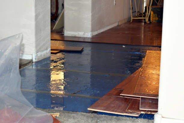 Professional Water Damage Restoration technician working in Esperance, NY